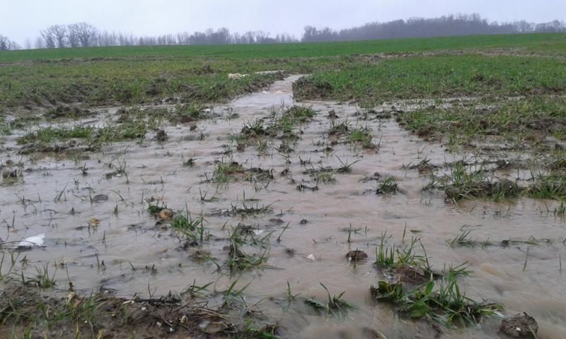 Inondation champs