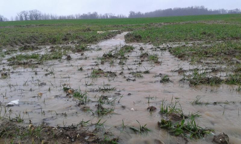 Inondation champs